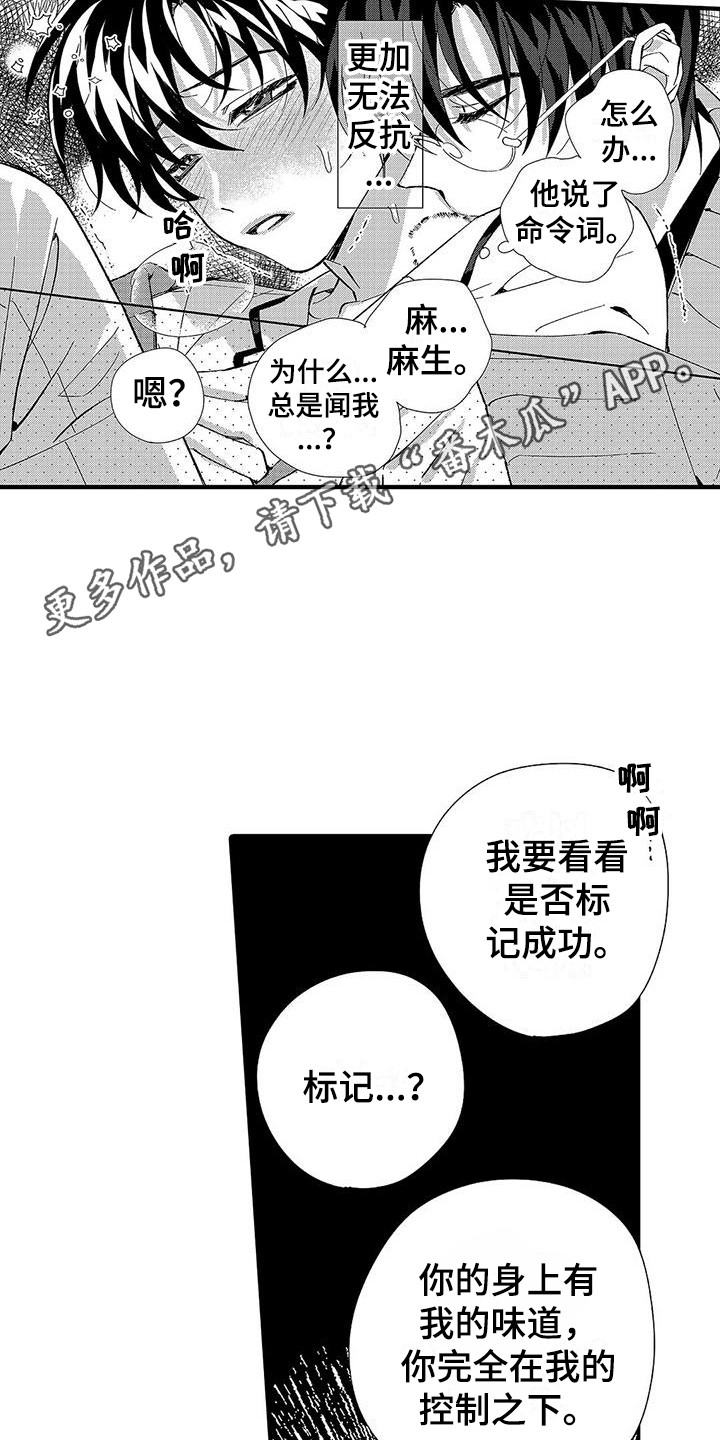 第11章：香味10