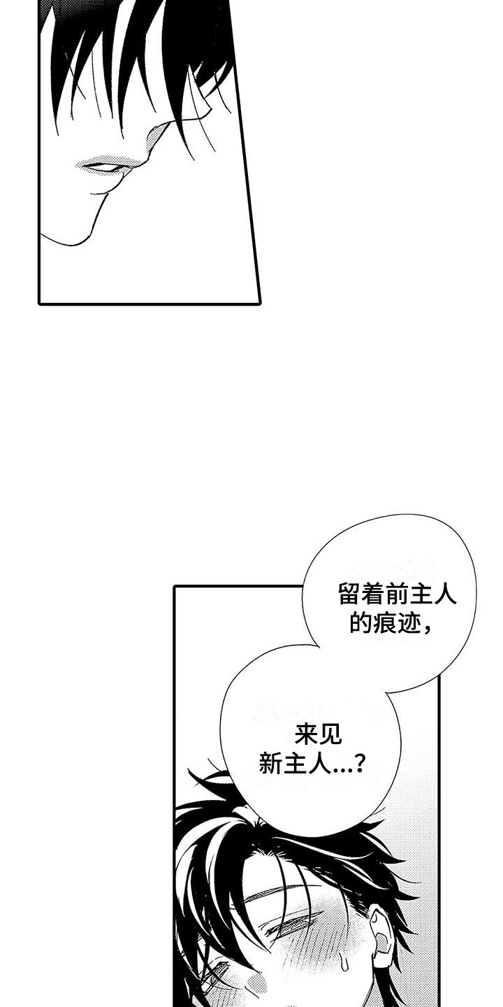 第4章：命令词14