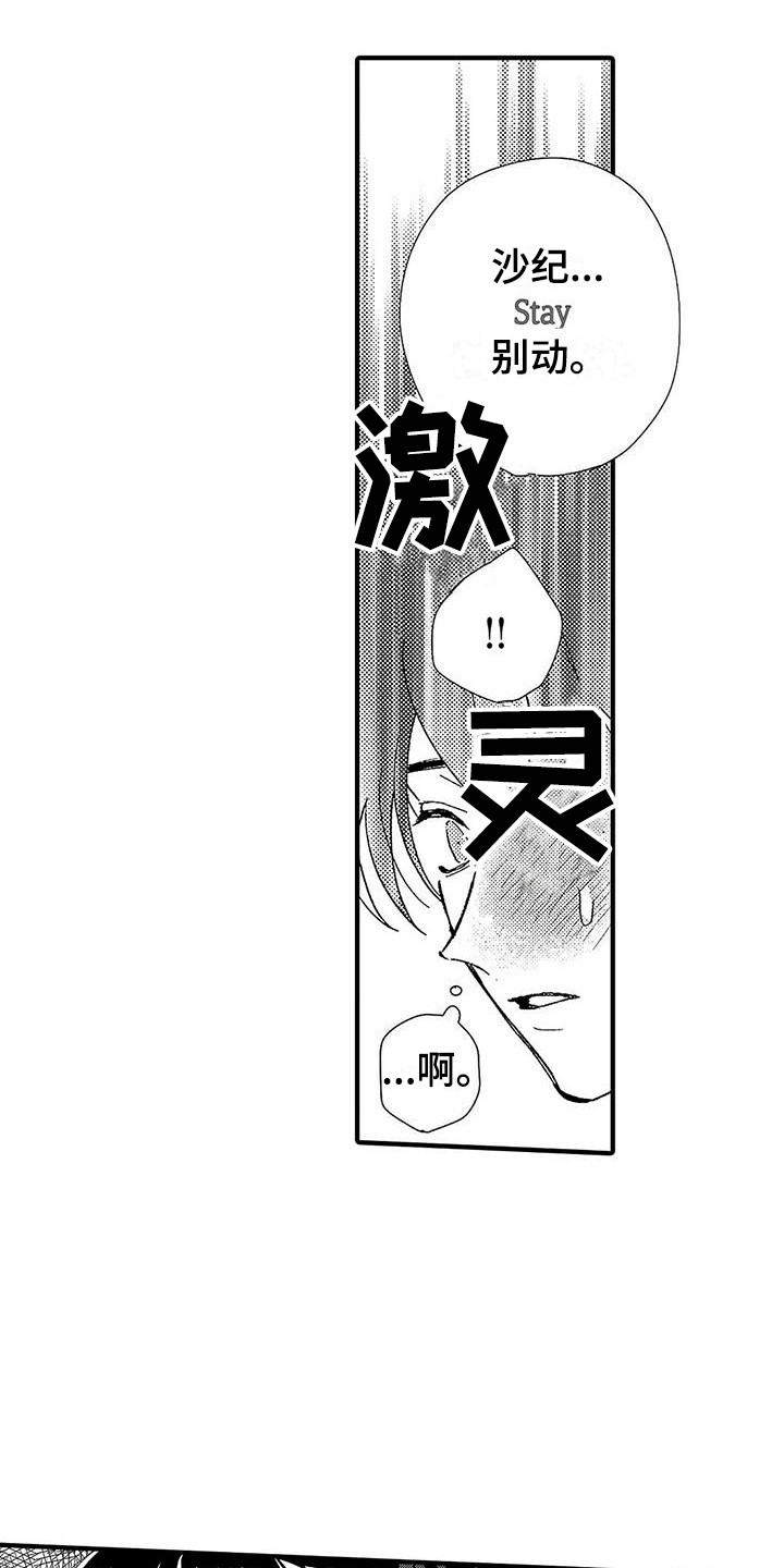 第11章：香味9
