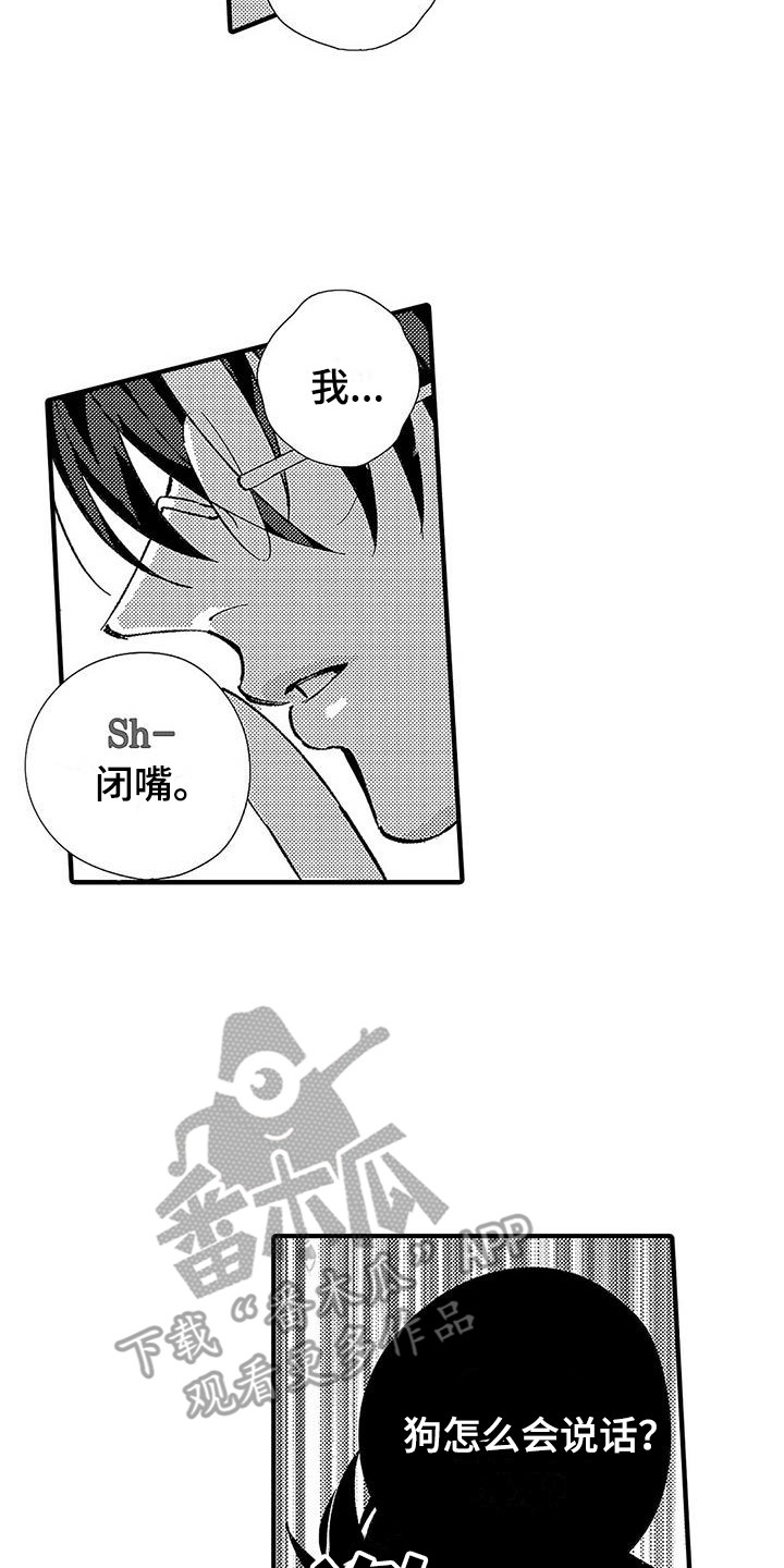 第13章：安全词16