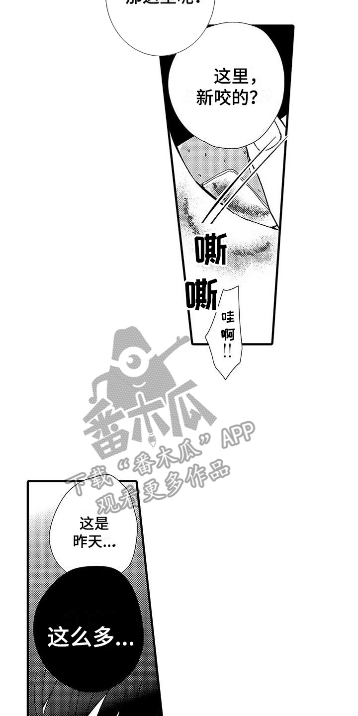 第4章：命令词13