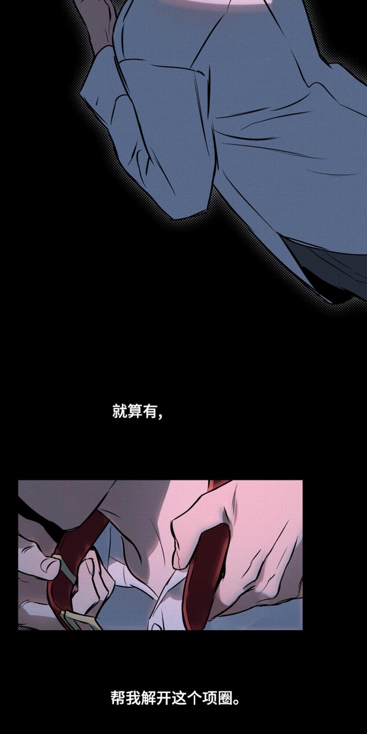 第126章：【第二季】最珍贵的人7