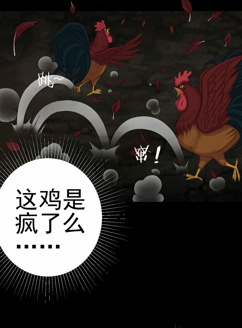 第6章：公鸡老公13