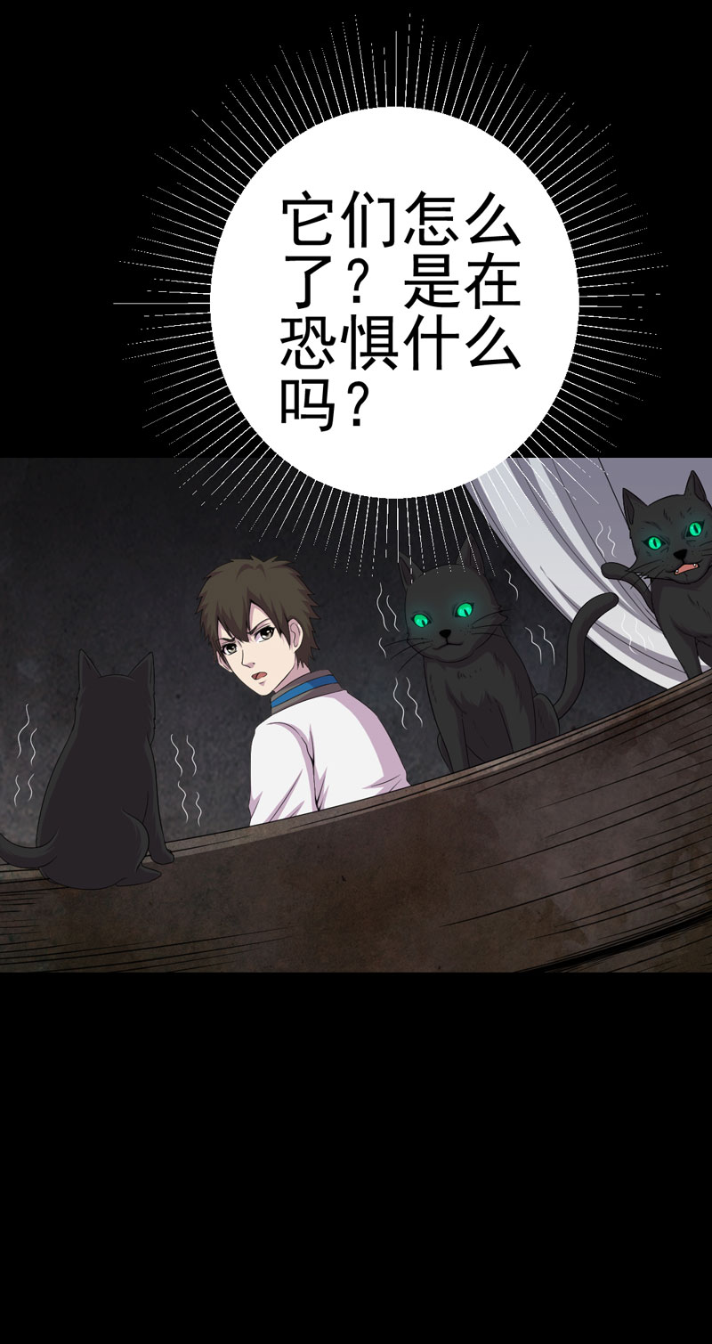 第20章：送老太5