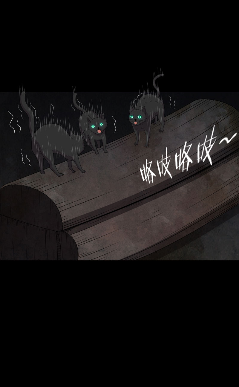第20章：送老太8