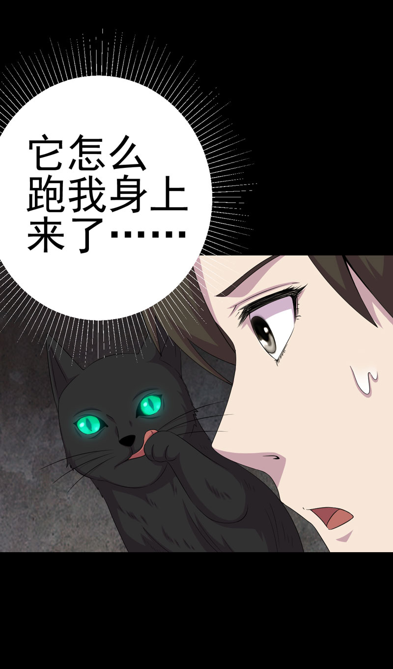 第20章：送老太4