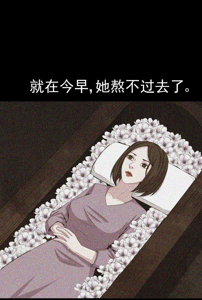 第19章：黑猫凶夜14