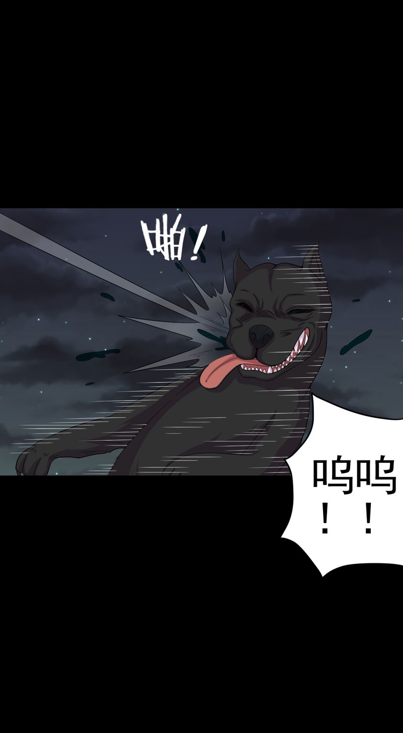 第14章：解救之法15