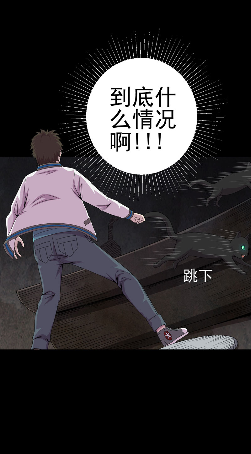 第20章：送老太11