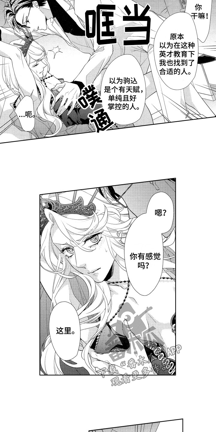 第15章：替代品9