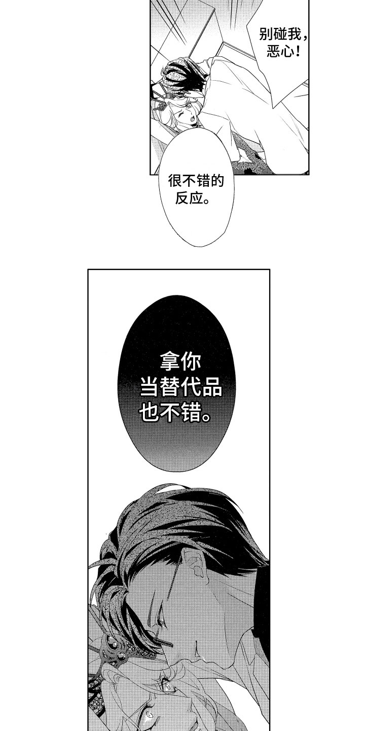 第15章：替代品10