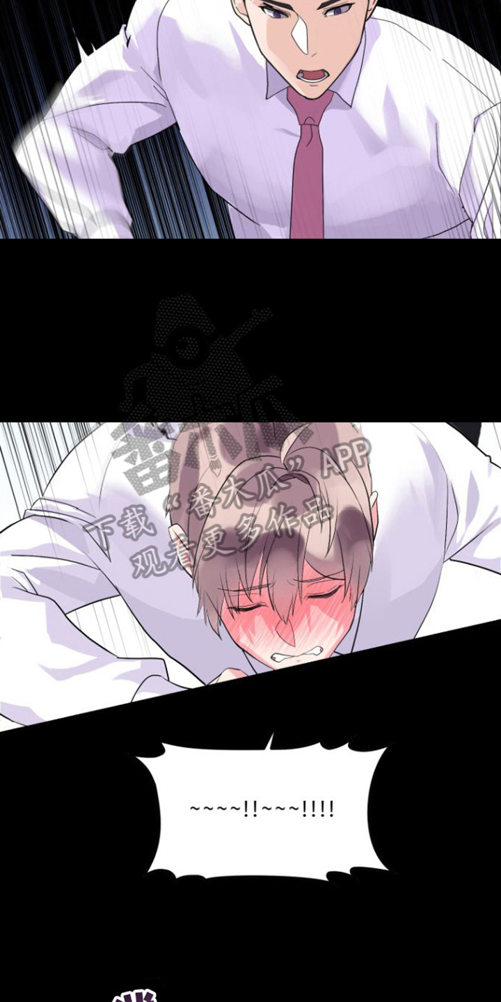 第6章：迷人5