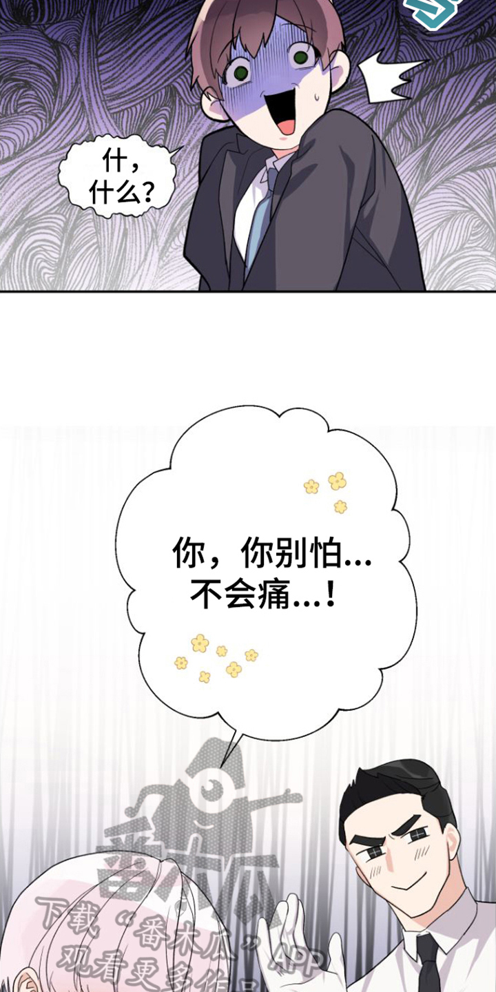 第11章：安排8