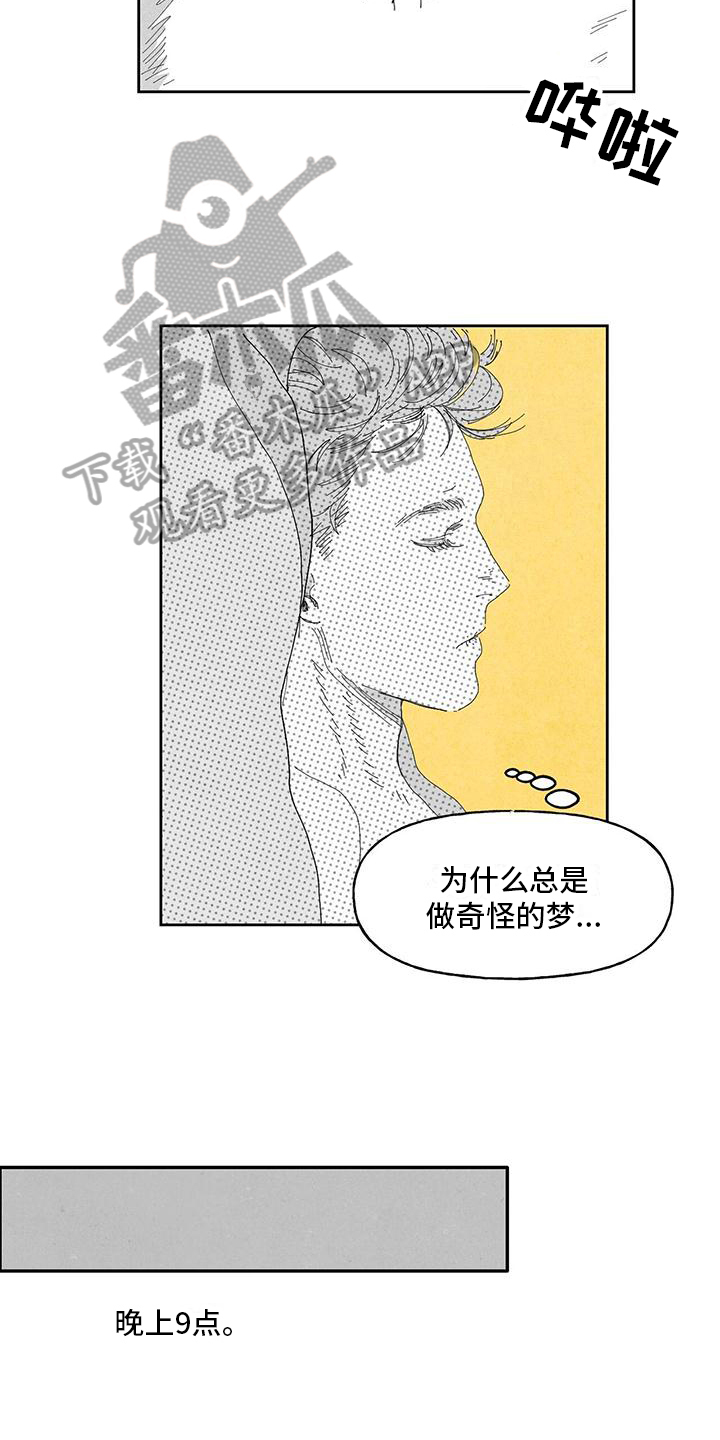 第12章：奇怪的梦11