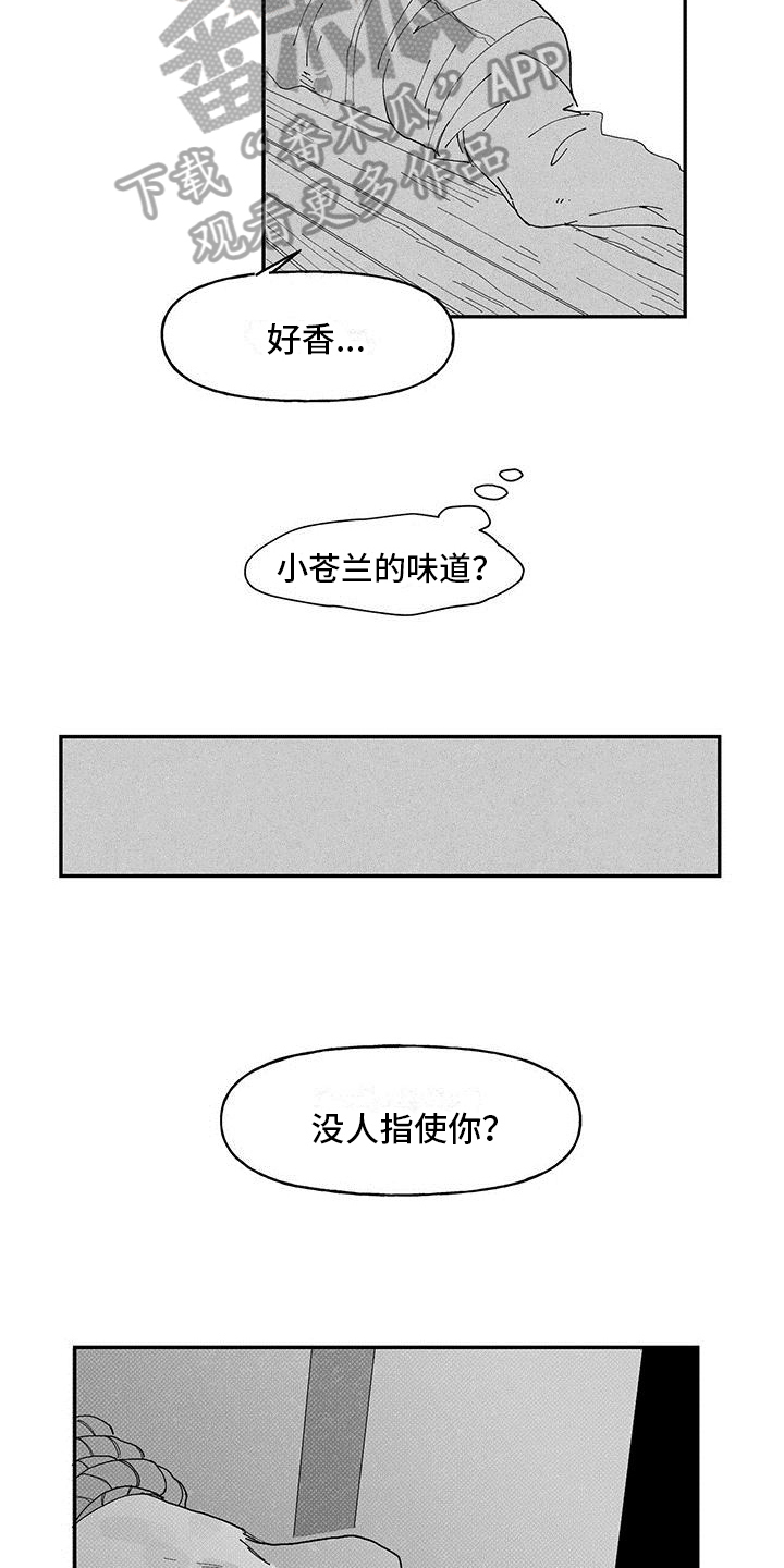 第10章：经历2
