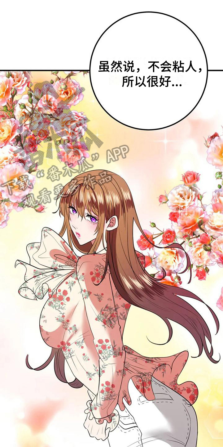 第29章：婚礼策划17