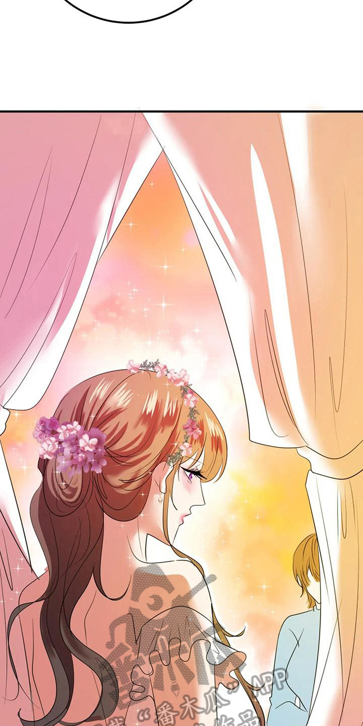 第29章：婚礼策划5