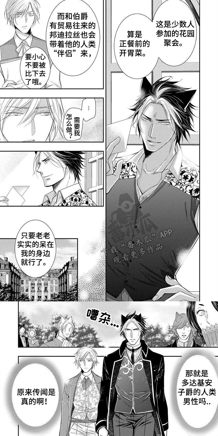 第8章：小提琴5