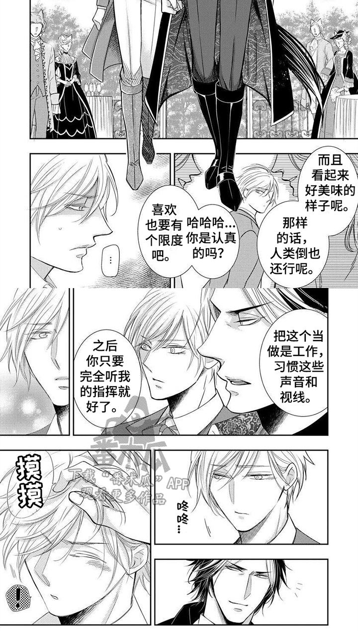 第8章：小提琴6