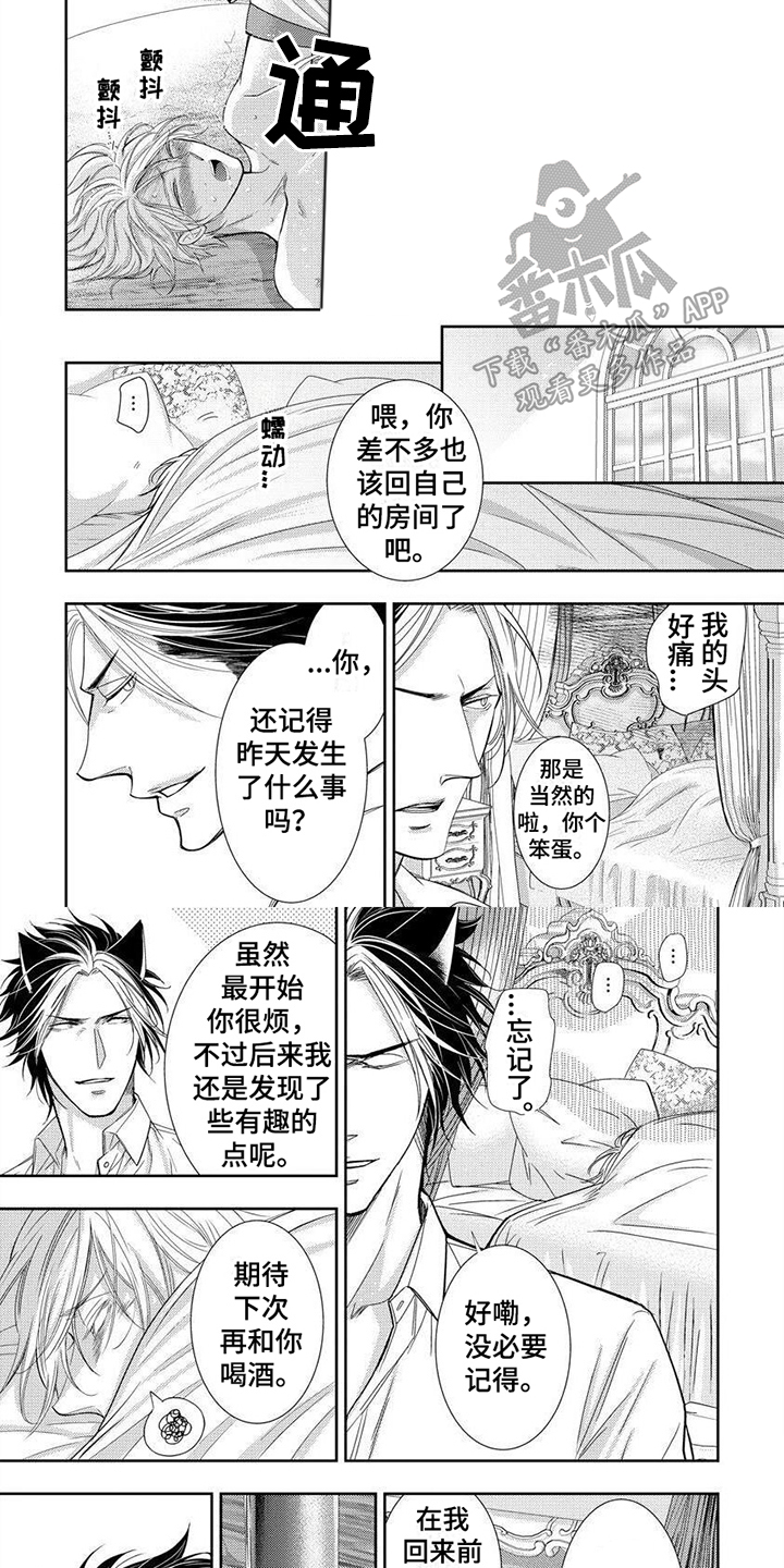 第11章：有趣的点5