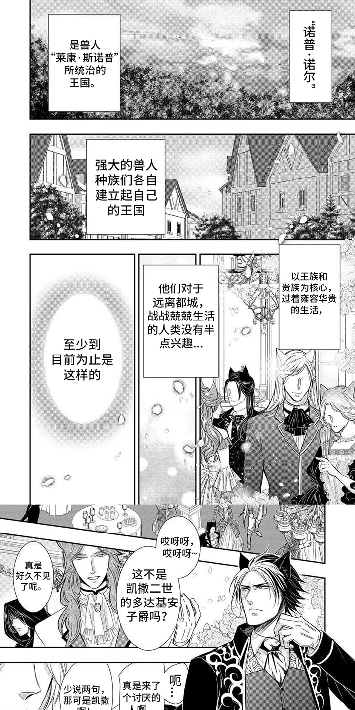 第1章：兽人王国0