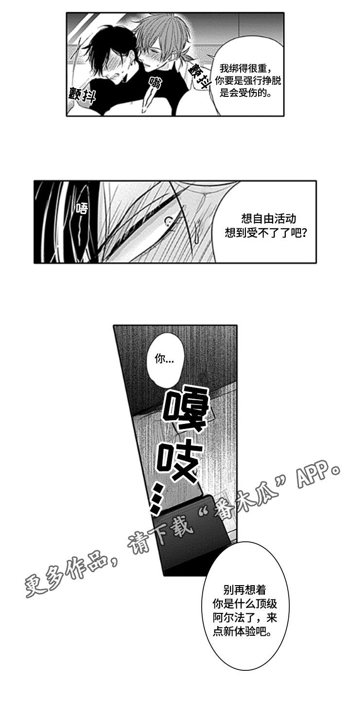 第12章：束缚12