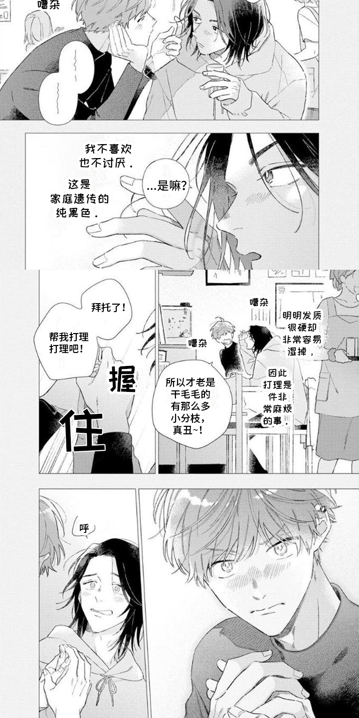 第2章：不会再来6