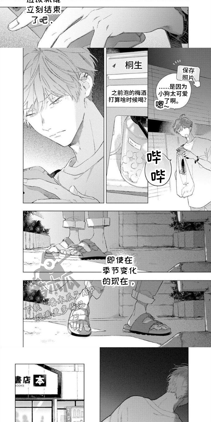 第6章：新作2