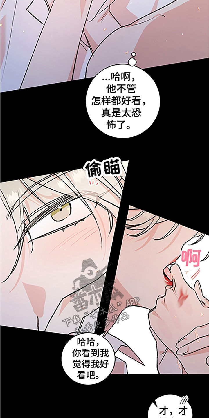第52章：【番外】轮到我了13