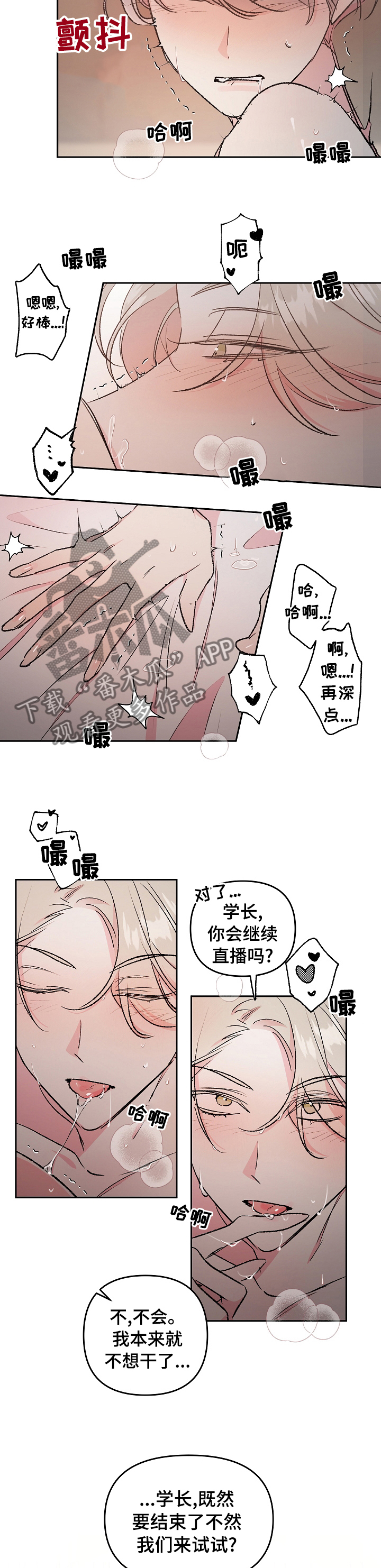 第42章：最后一次直播2