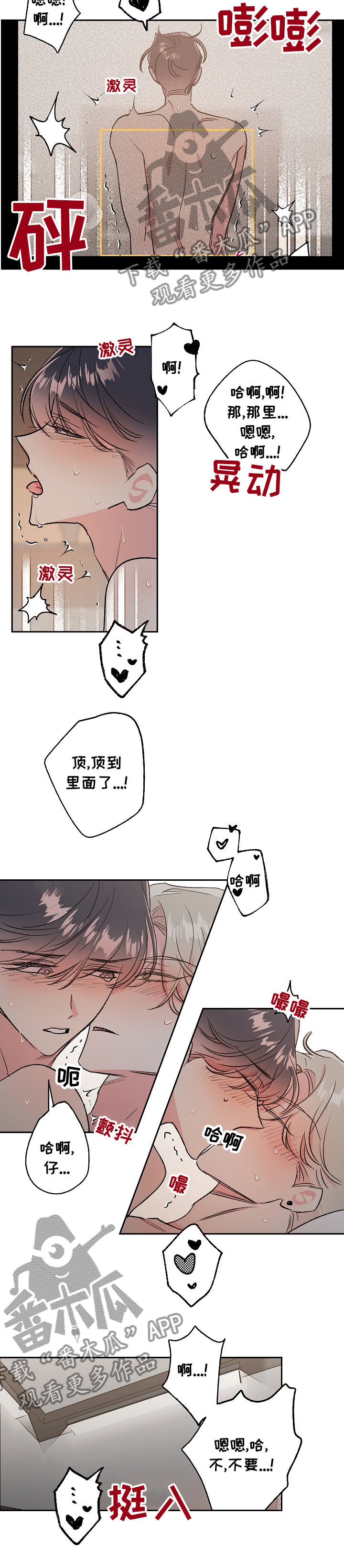 第42章：最后一次直播6