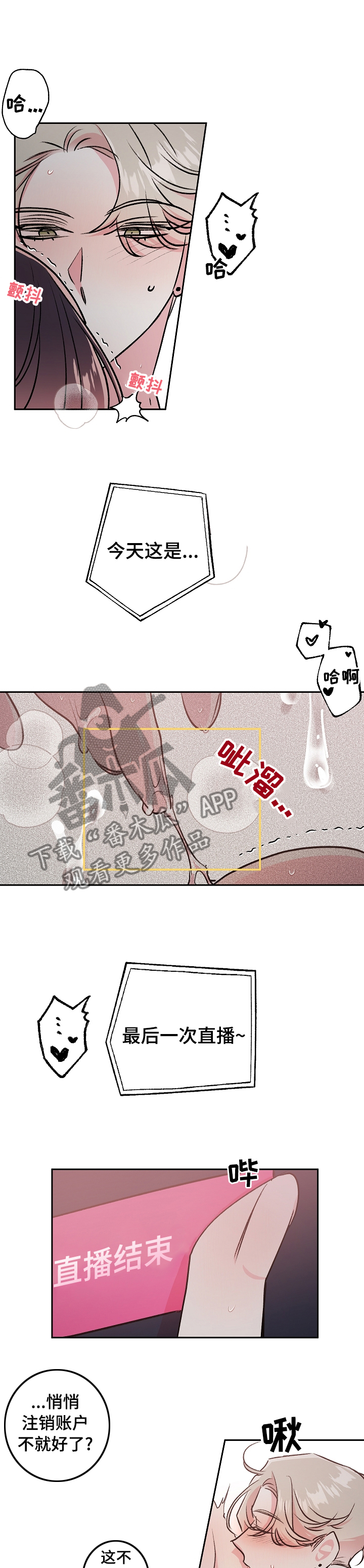 第42章：最后一次直播7