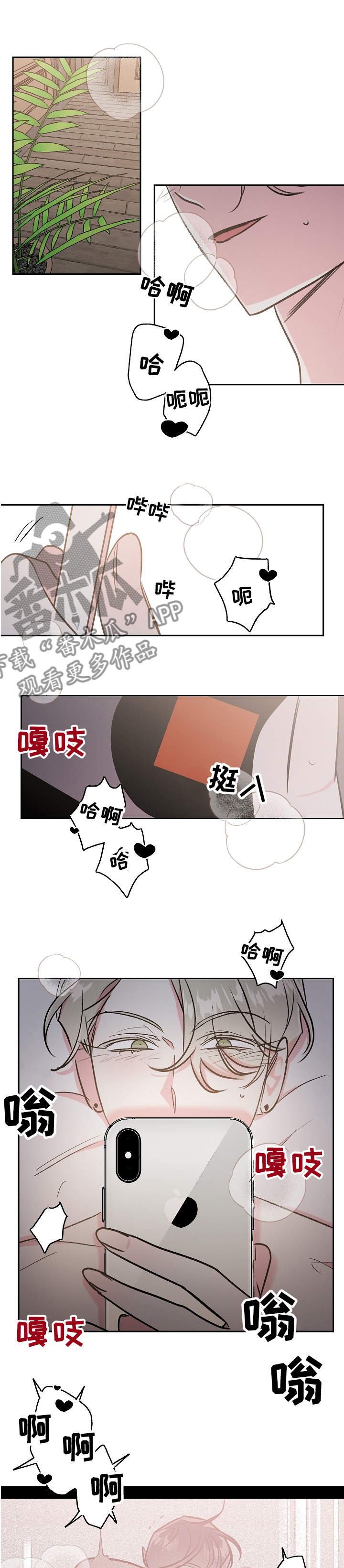 第42章：最后一次直播4