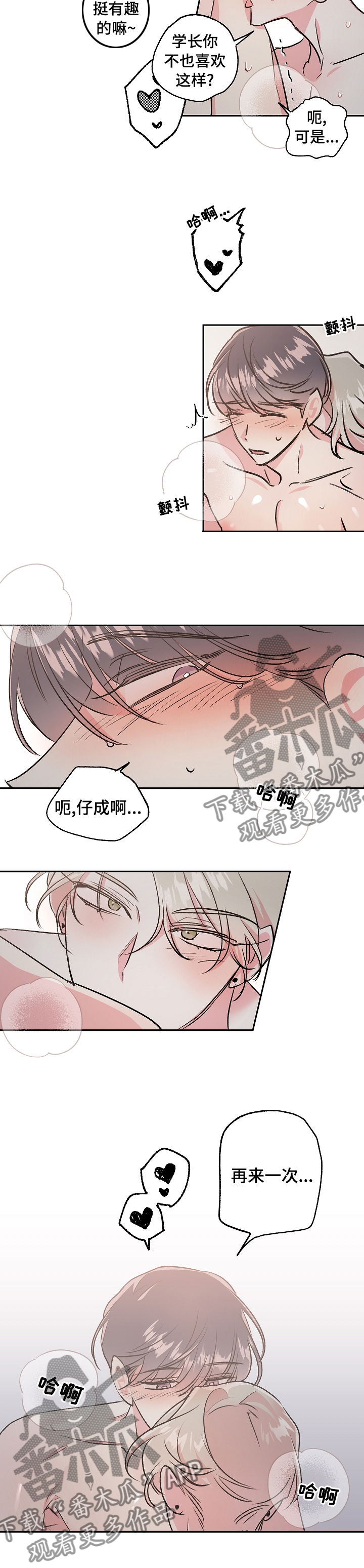 第42章：最后一次直播8