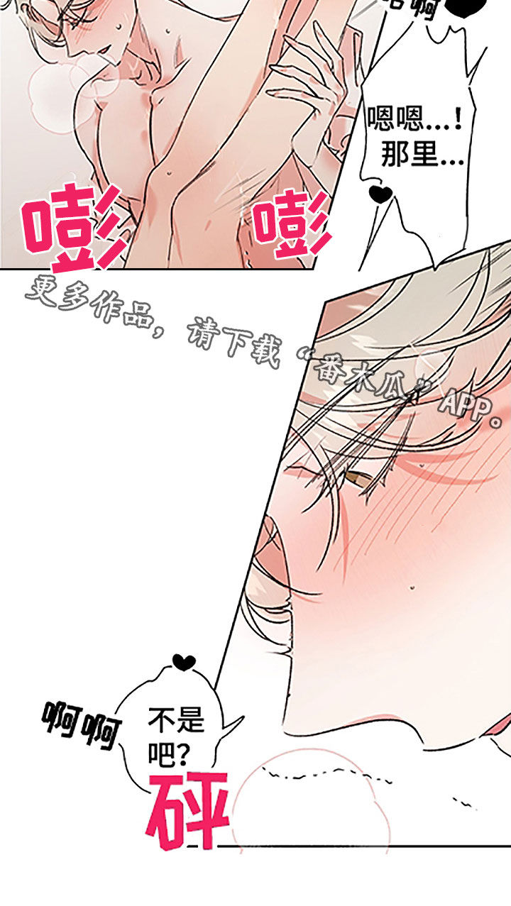 第53章：【番外】不是吧10