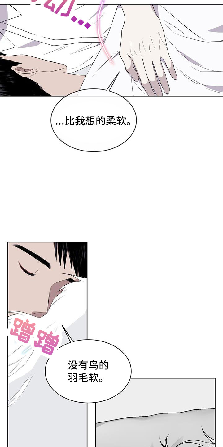 第57章：不能碰羽毛20