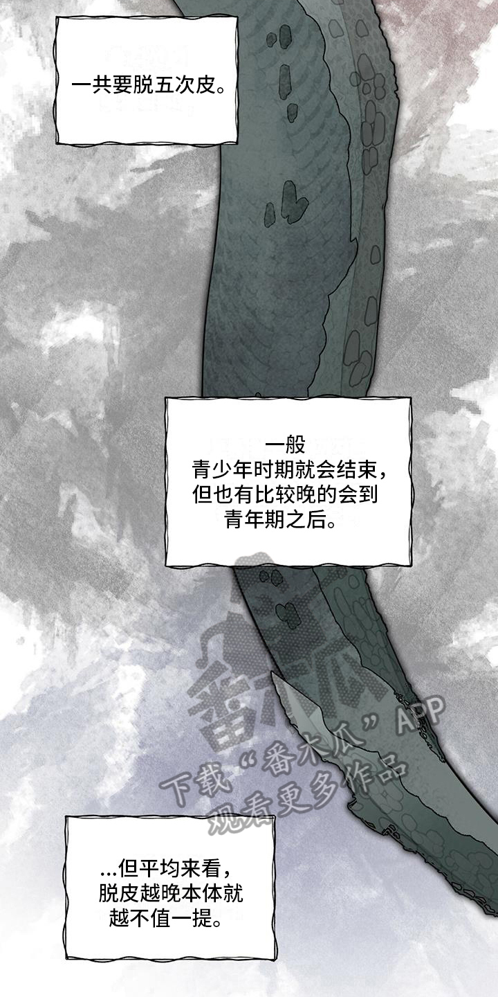 第15章：都知道5