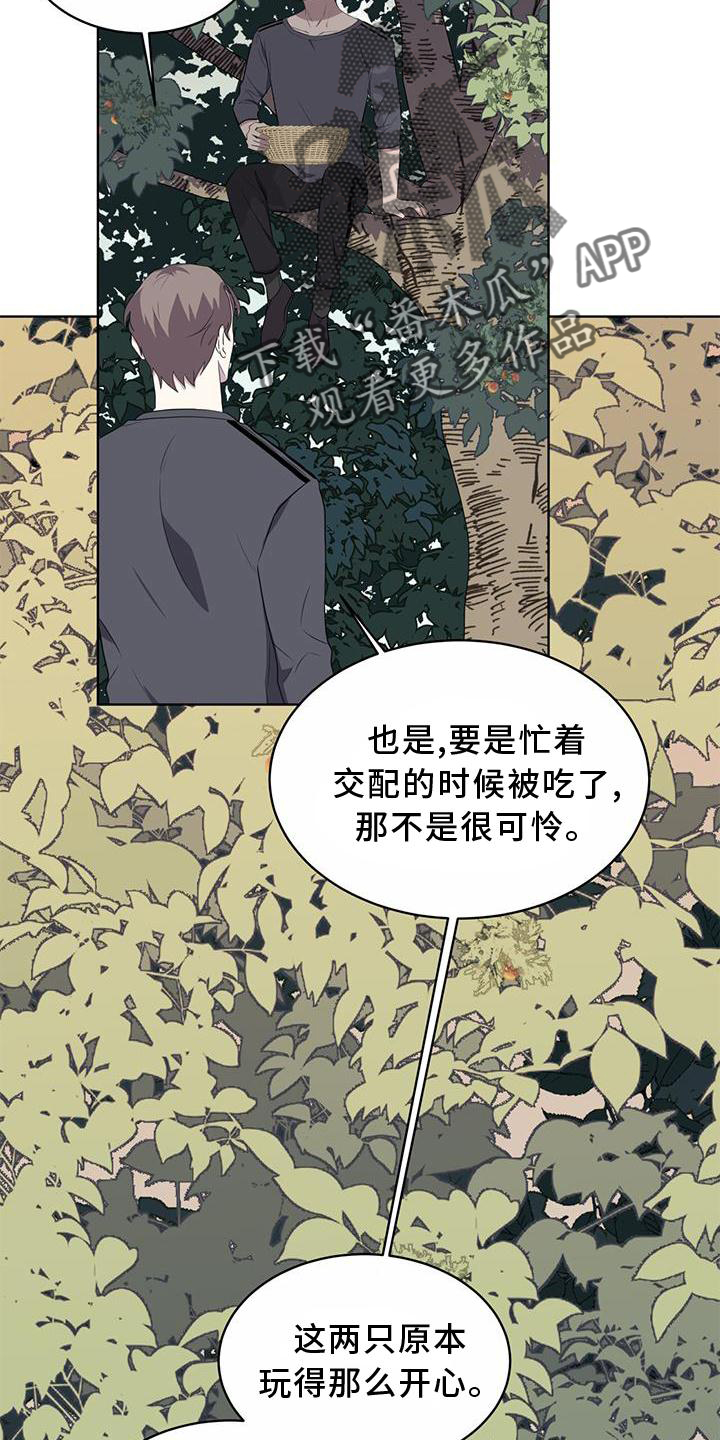 第55章：联想22