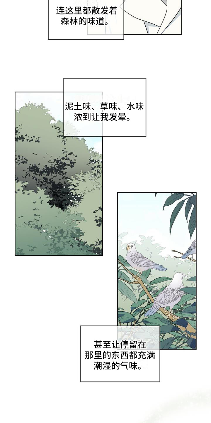 第13章：雨季将临5