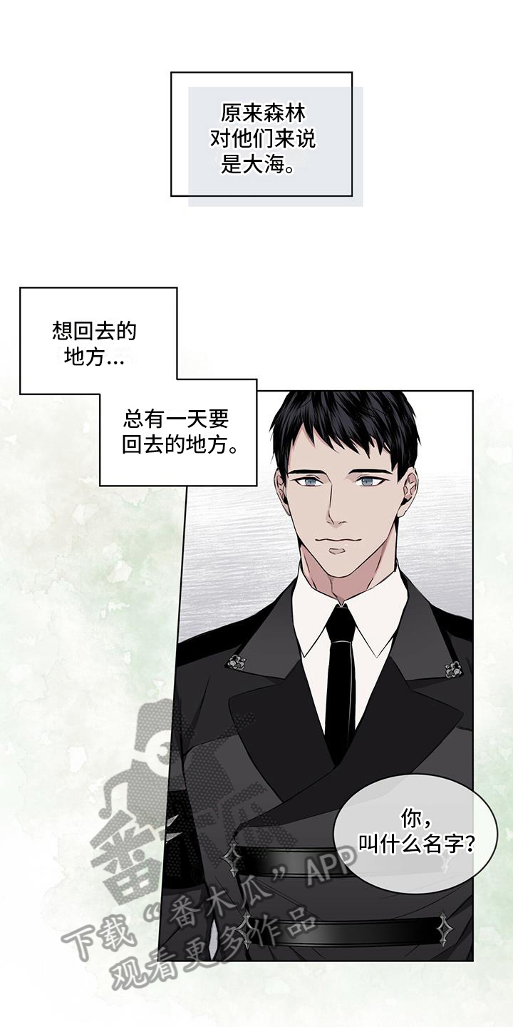 第14章：受伤2