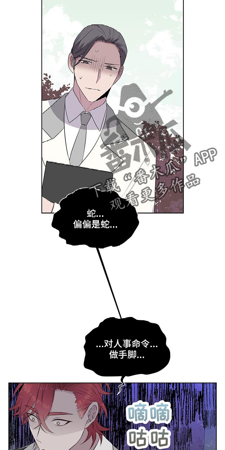 第64章：奇观5