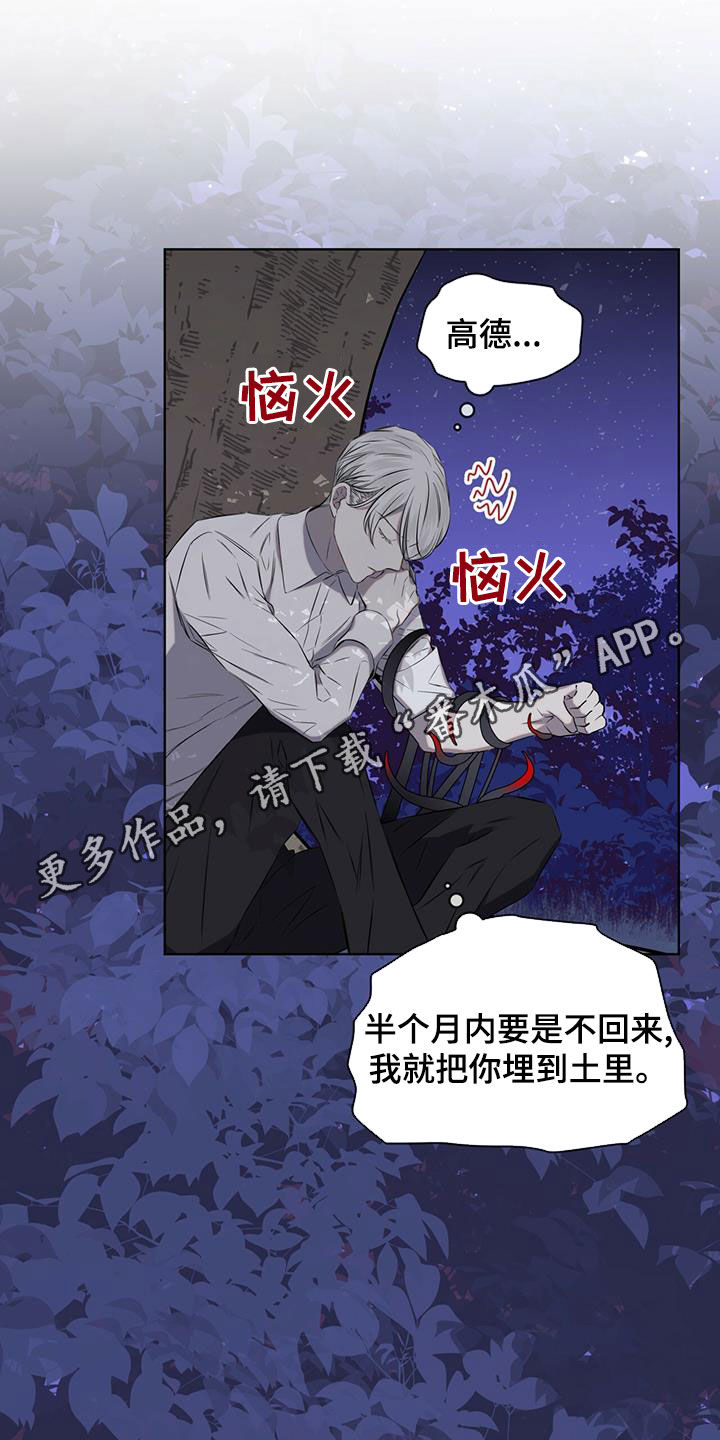 第35章：被子0