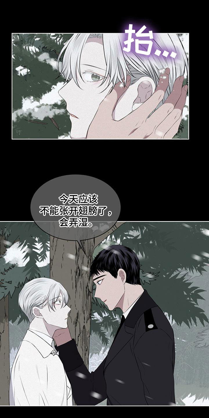 第68章：【第二季】早已决定8
