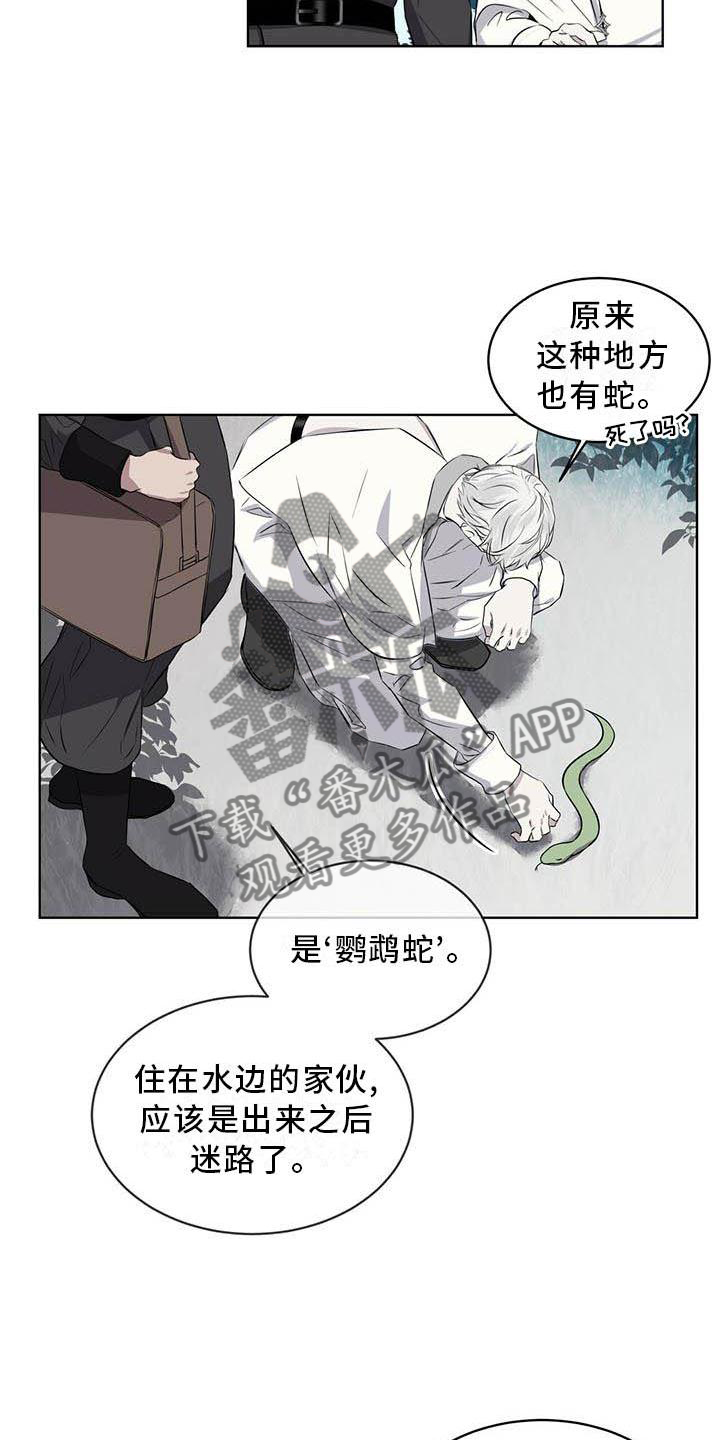 第30章：蛇11