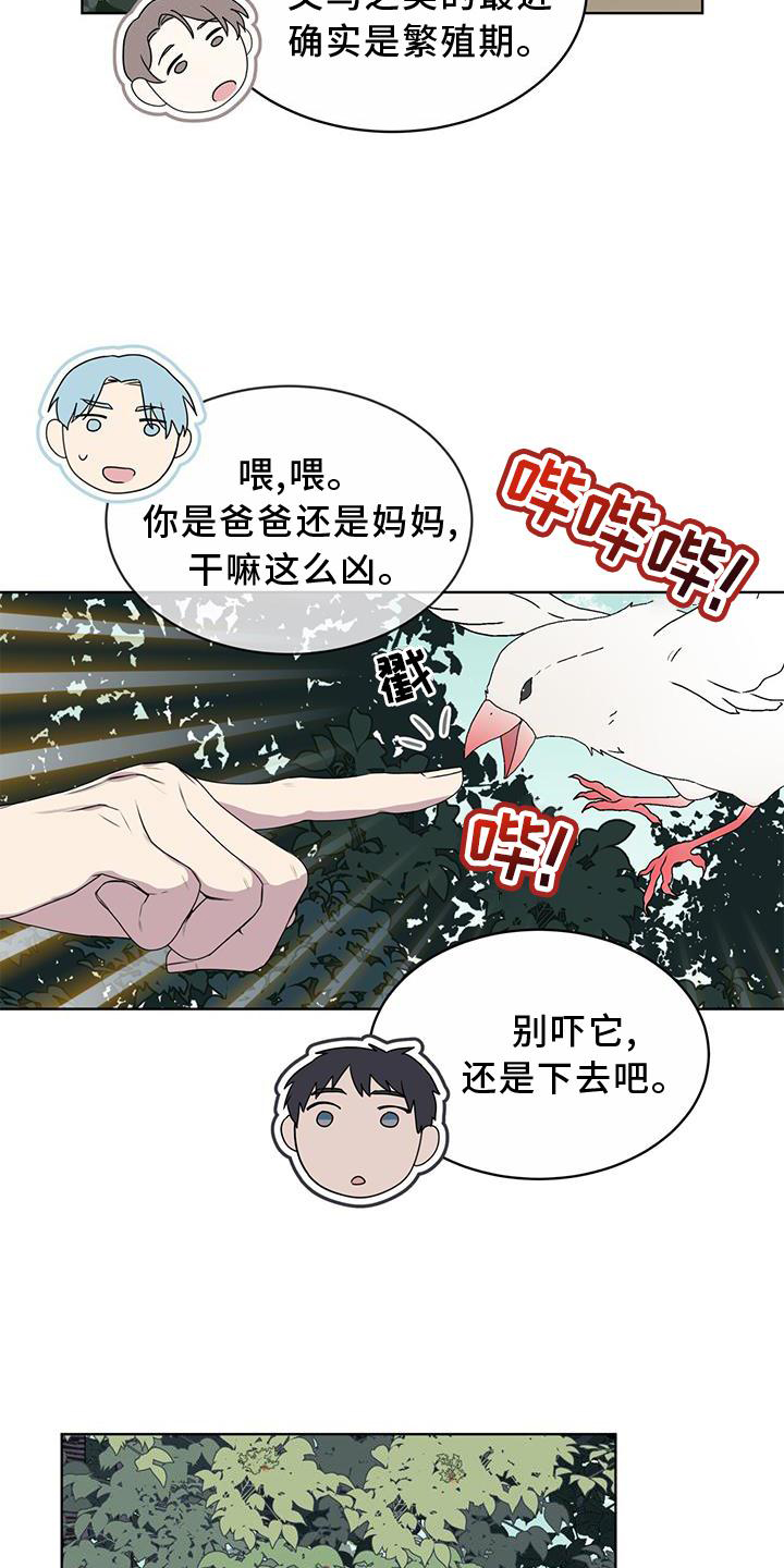 第54章：鸟蛋6