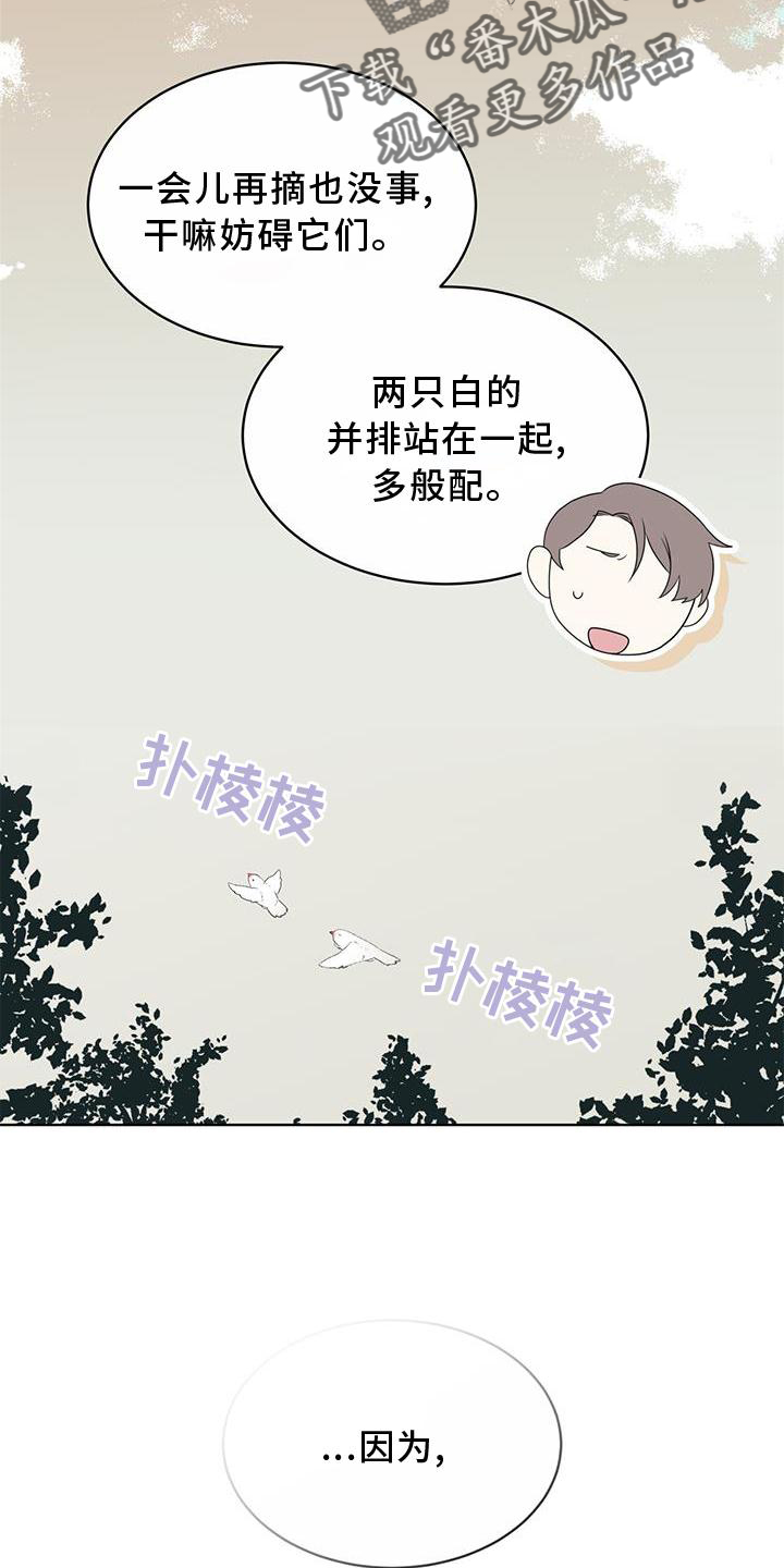 第55章：联想20