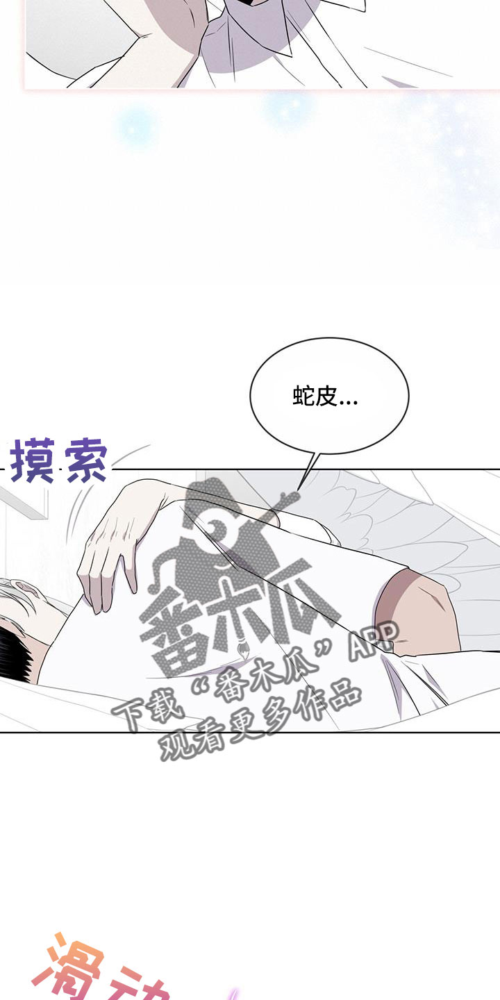 第57章：不能碰羽毛19