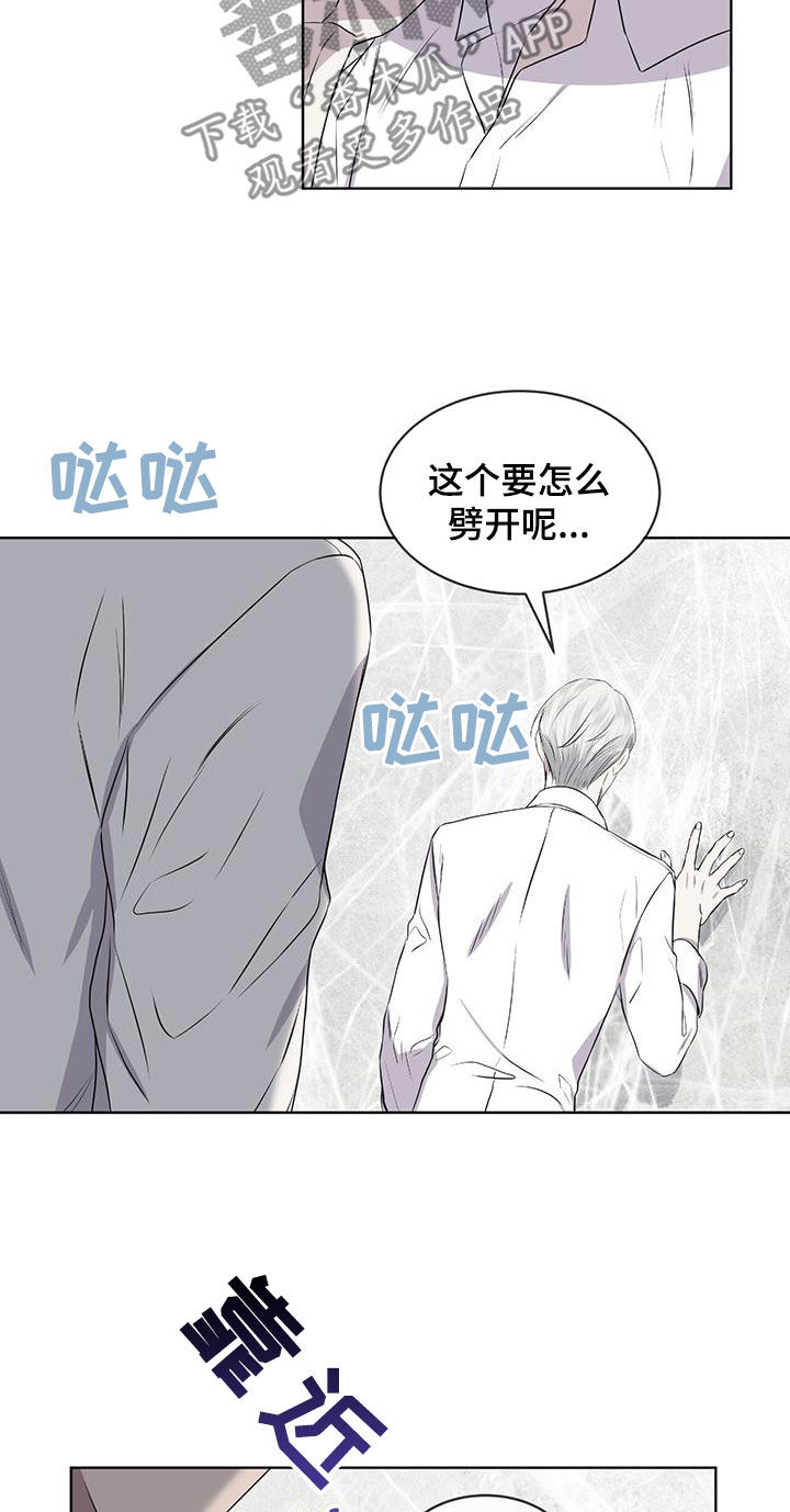 第81章：【第二季】求爱的歌19