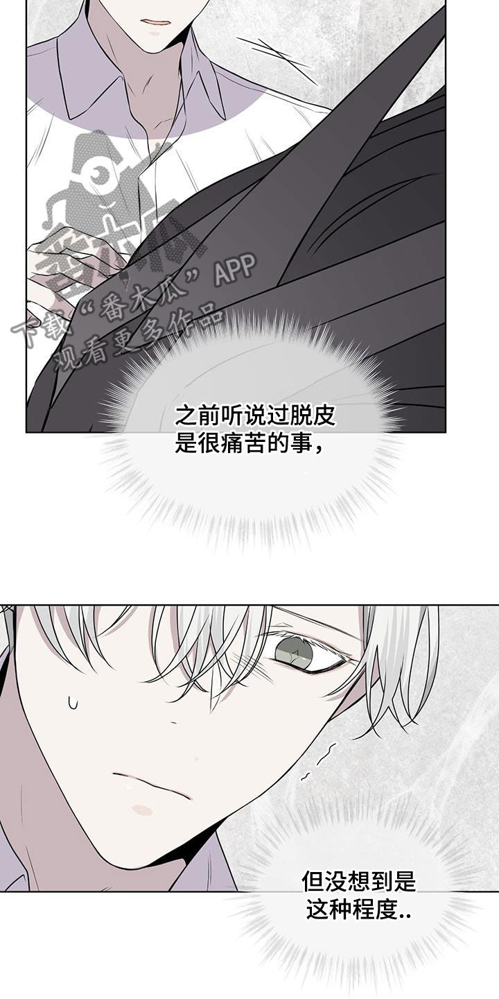 第80章：【第二季】脱皮11