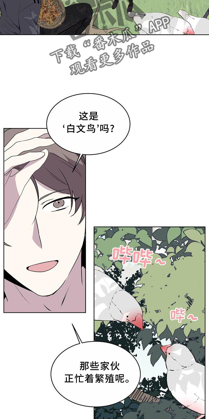 第55章：联想16